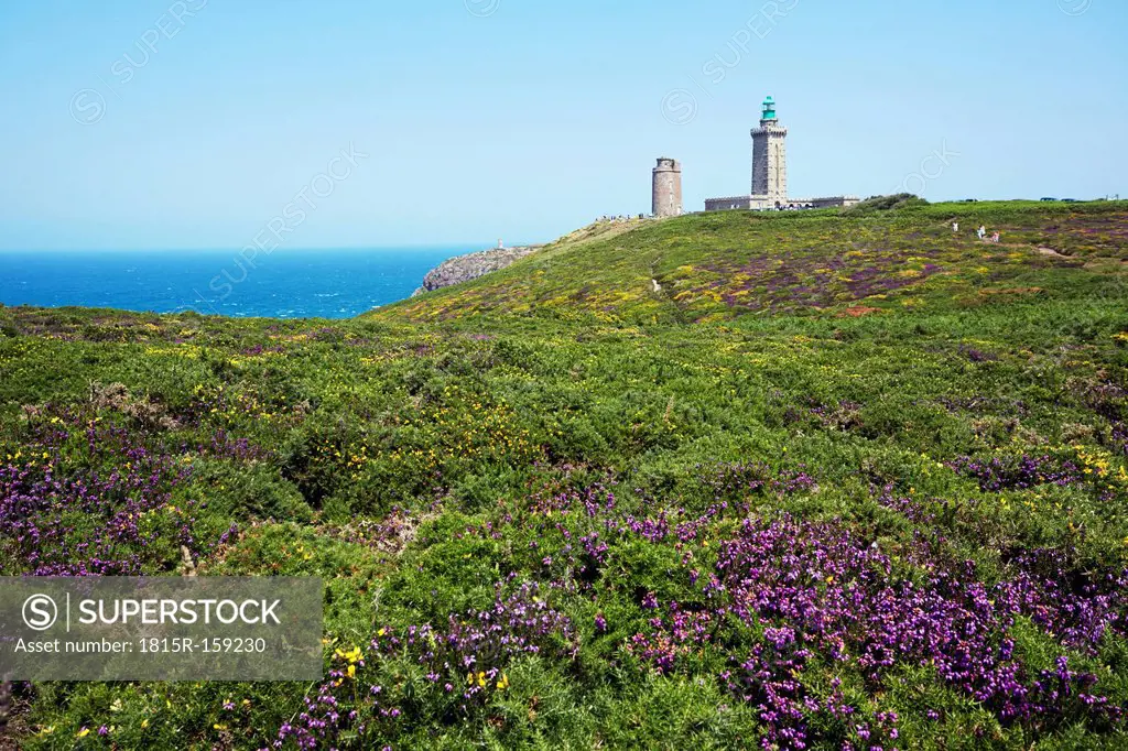 France, Bretagne, Cap Frehel, Lighthouse and landscape with gorse and heather
