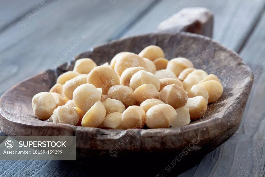Wooden shovel with salten macadamia nuts (Macadamia integrifolia) on wooden table