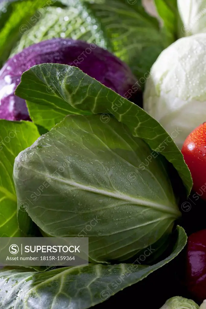 Cabbage varieties, close-up