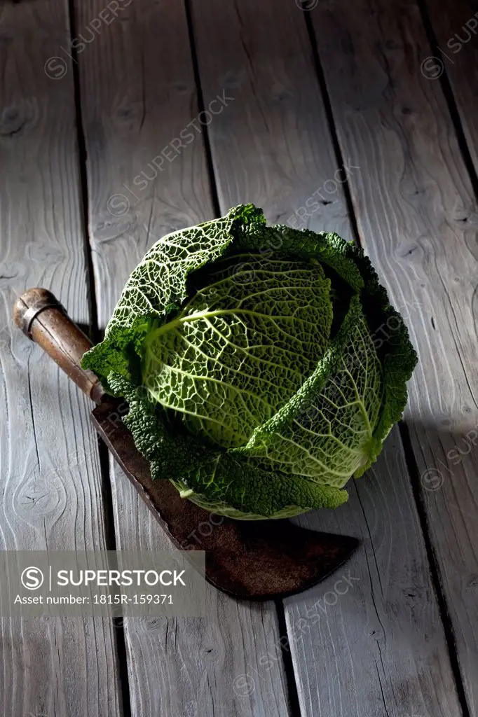 Savoy (Brassica oleracea convar. capitata var. sabauda) and and antique knife on grey wooden table