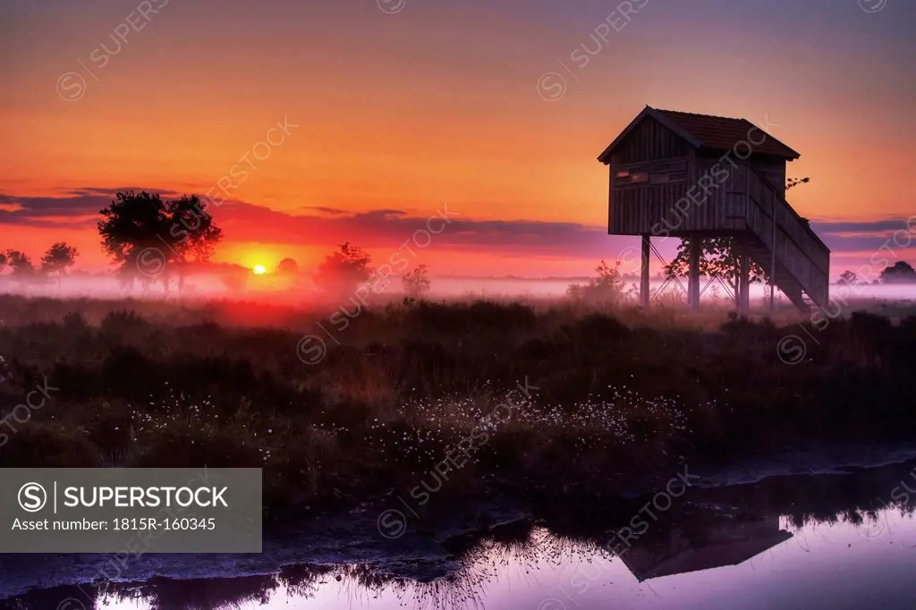 Germany, North Rhine-Westphalia, Recker Moor, Landscape at sunrise