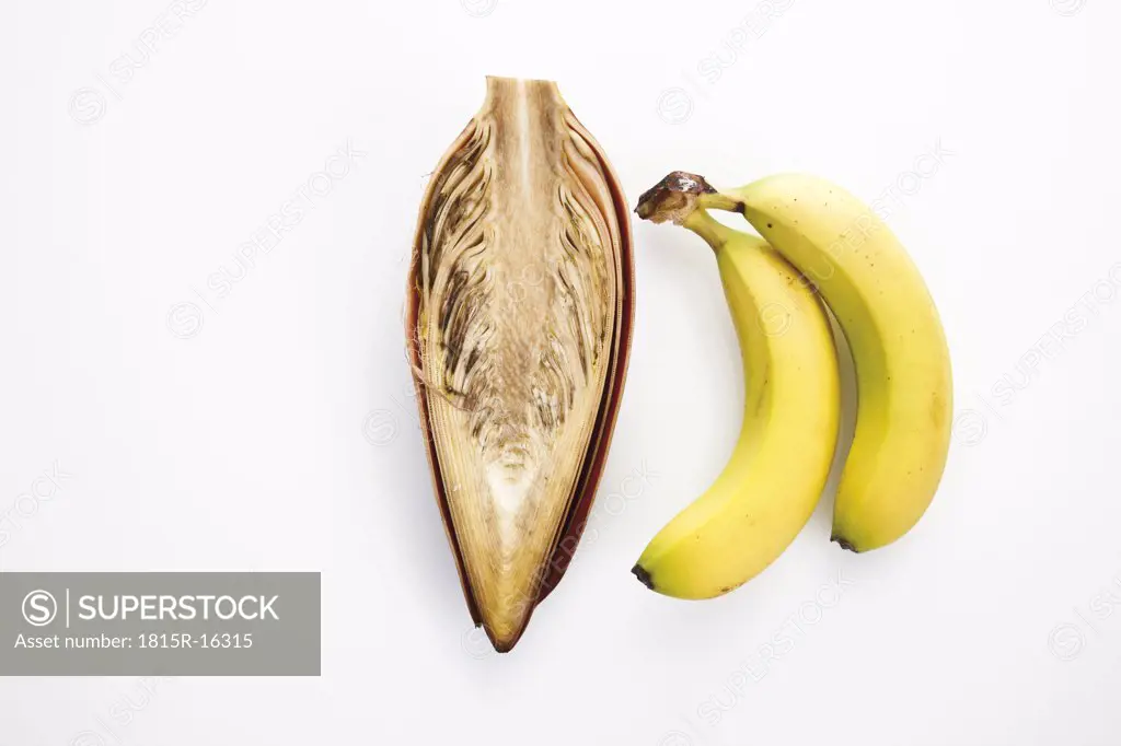 Banana flower and bananas