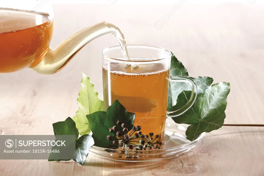Ivy Tea ((Hedera helix)
