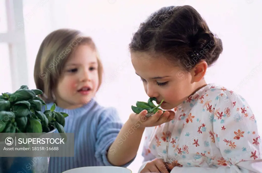 Two children with herbs in kitchen