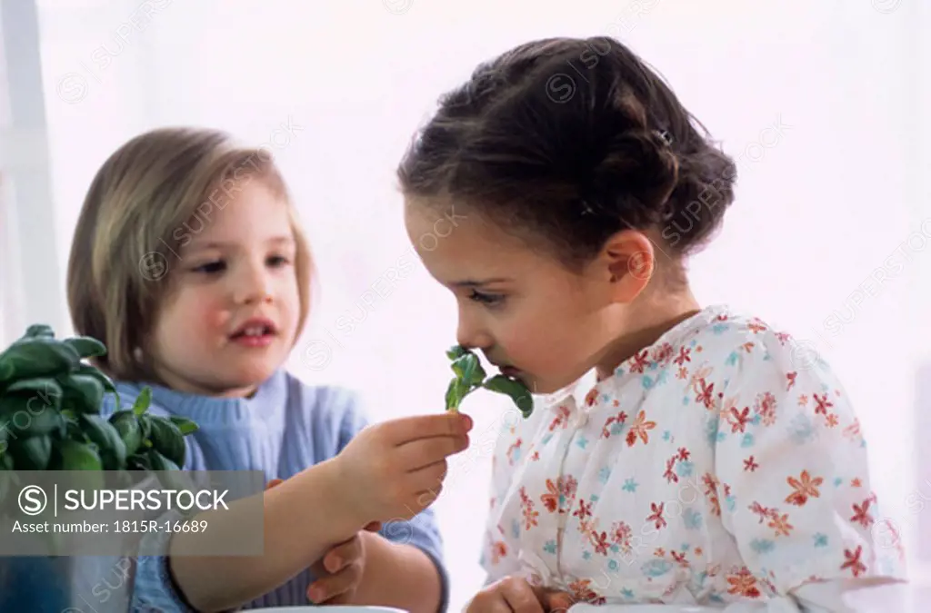 Two children (4-7) with herbs, close-up