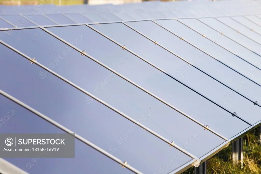 Solar cells on solar plant