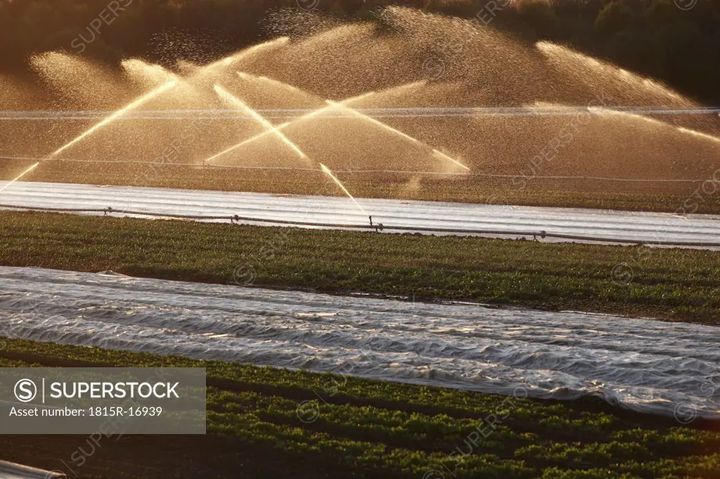 Germany, Irrigation plant on field