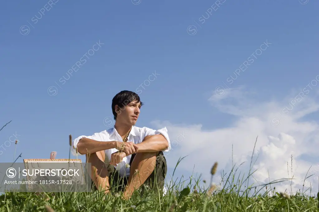 Young man sitting in meadow, looking away