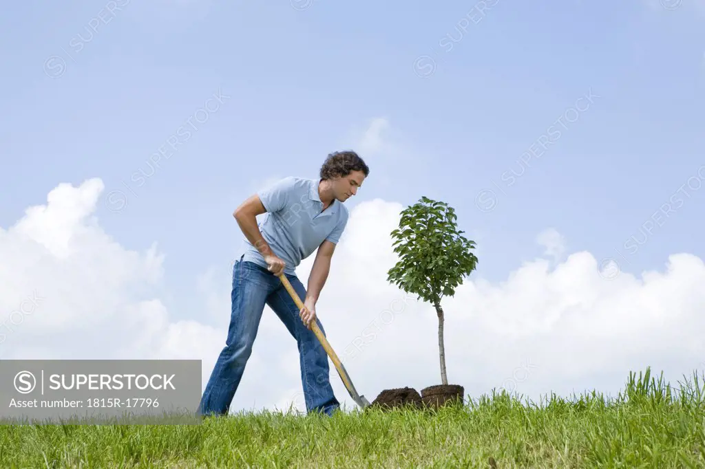 Man planting tree, close-up