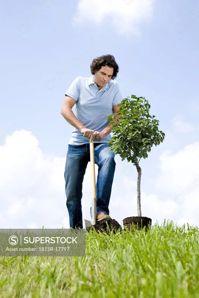 Man planting tree, close-up