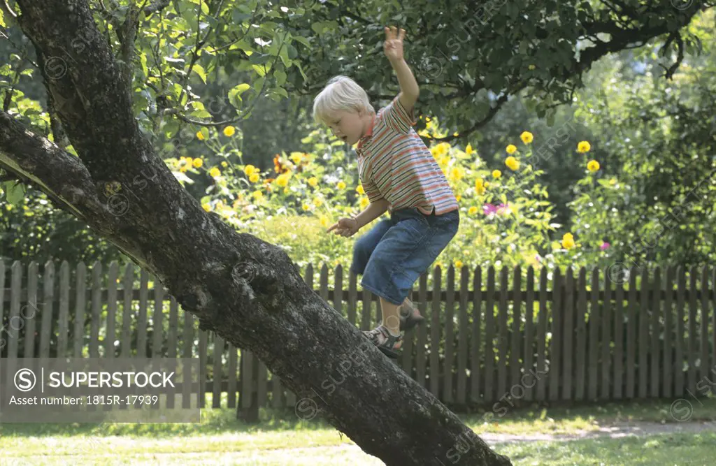 Boy balancing on a tree