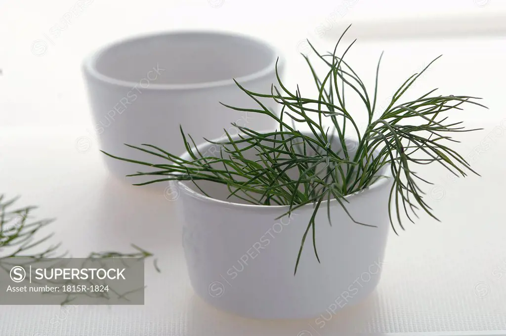 Dill (Anethum graveolens) in cup, close-up