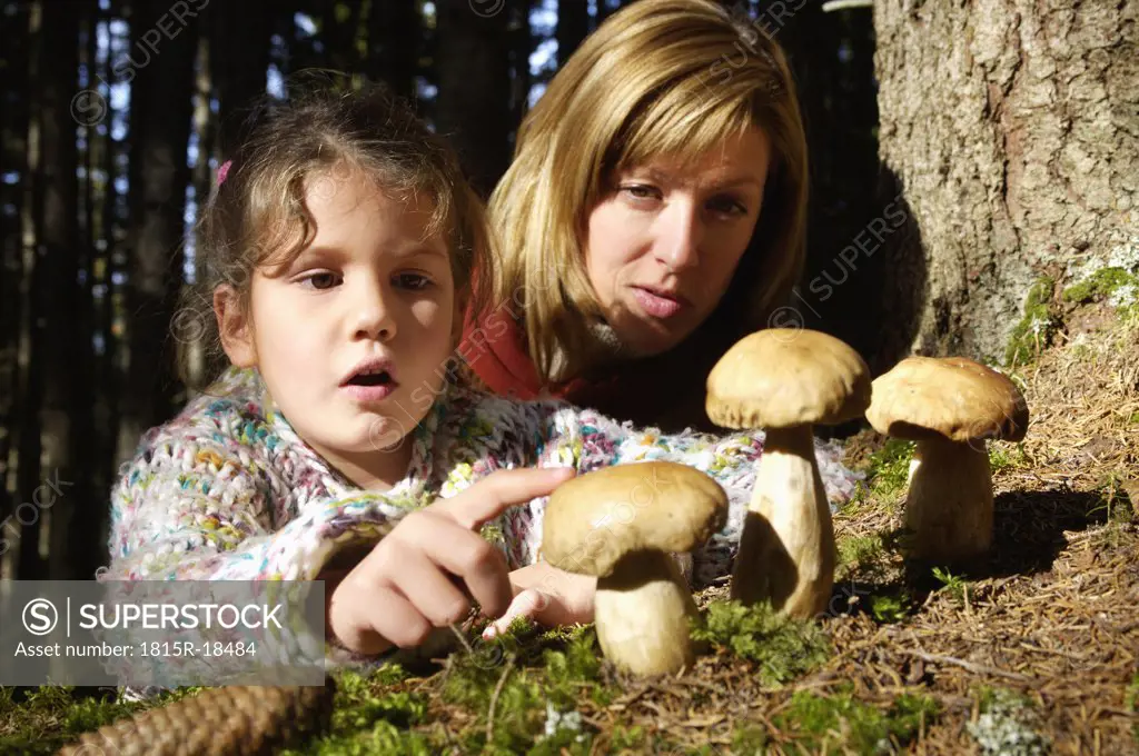 Mother and daughter watching ceps in forest