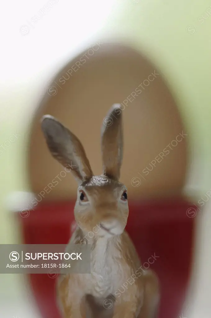 Easter bunny, close up
