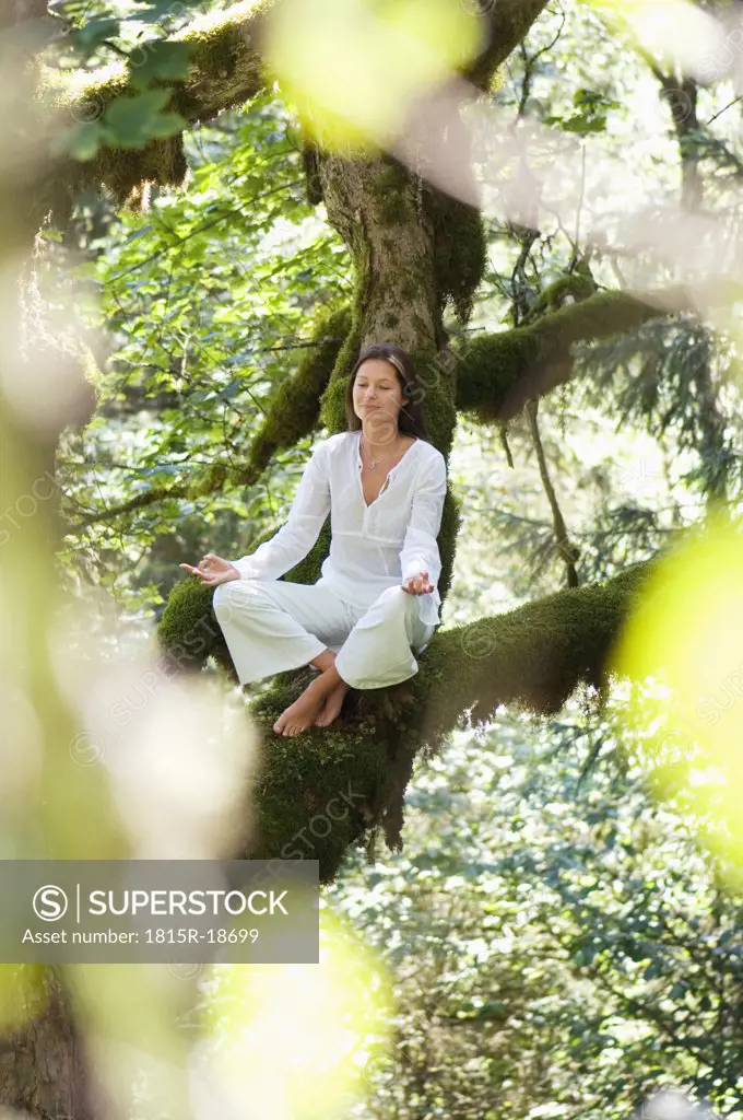 Young woman meditating, sitting on tree