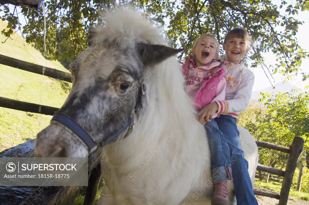 Two girls sitting on pony, tilt view