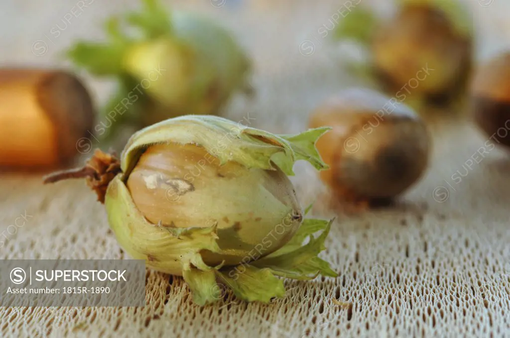 Hazelnuts, close-up