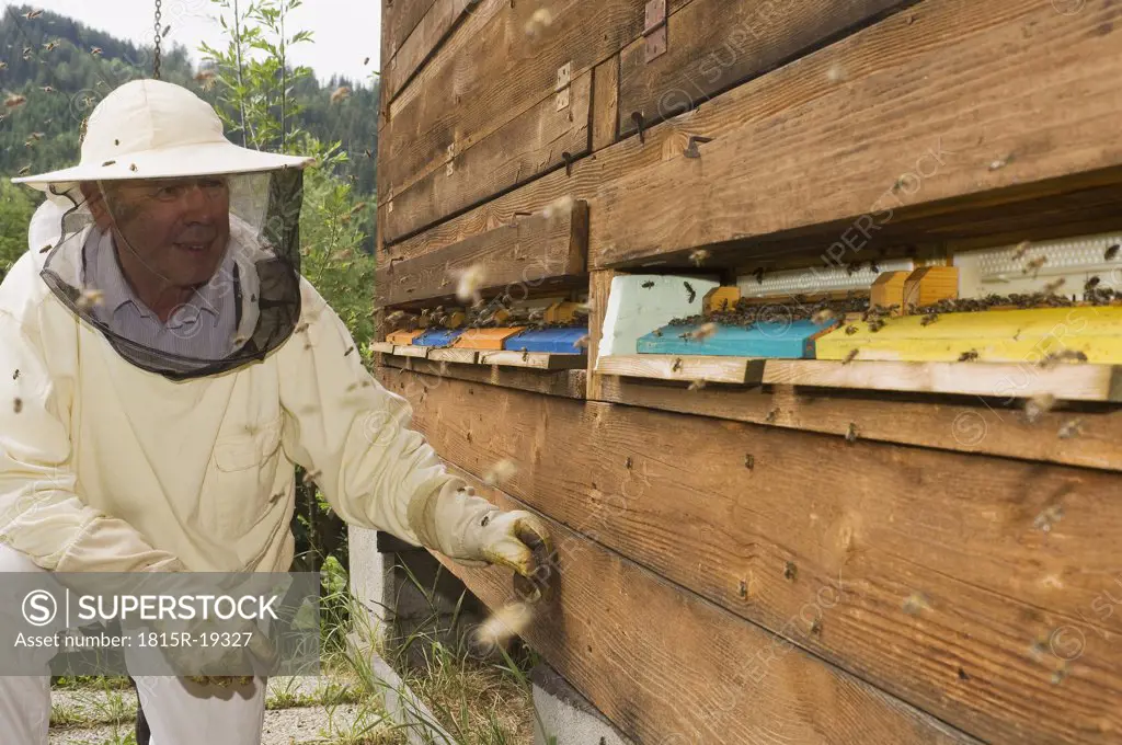 Austria, beekeeper in front of beehive