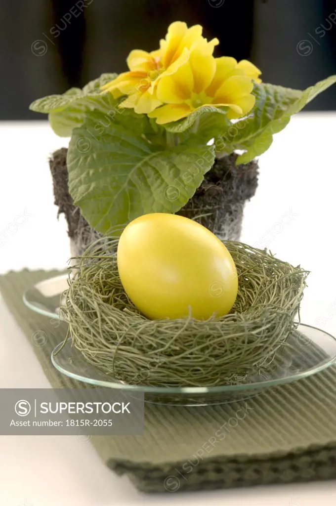 Yellow easter egg in nest with primrose, close-up