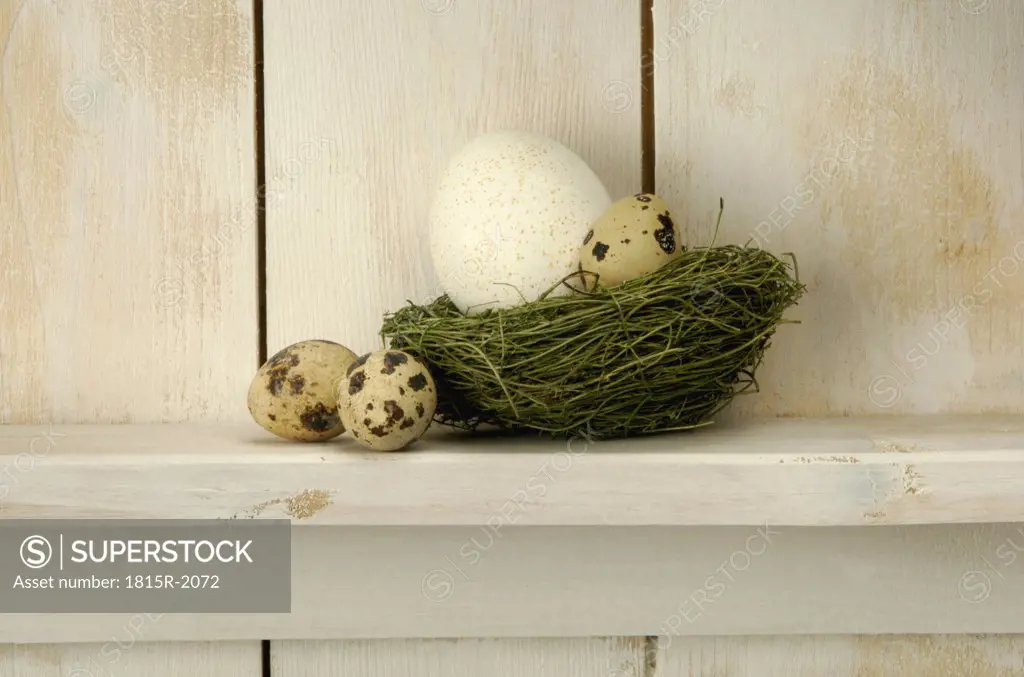 Easter eggs lying on nest at shelf, close-up