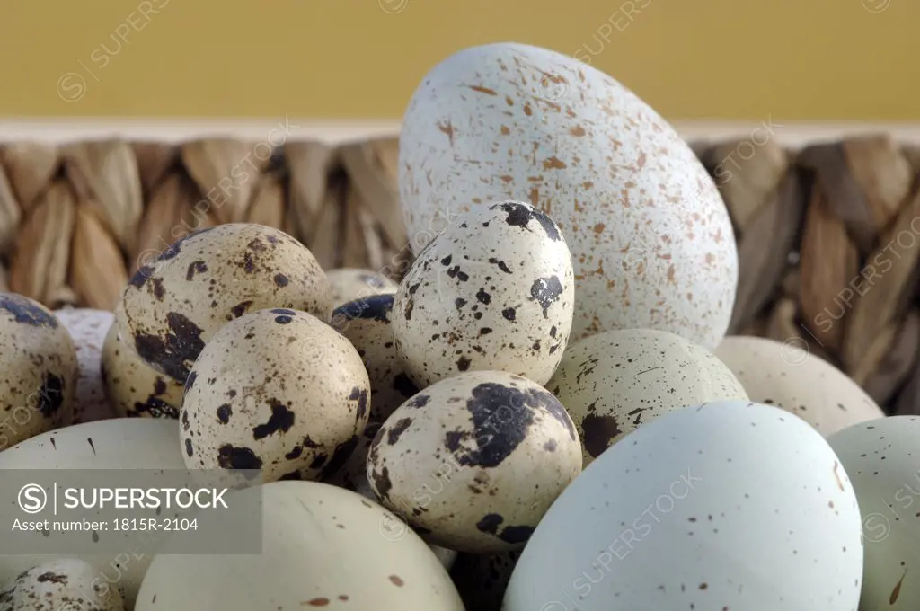 Easter eggs in basket, close-up