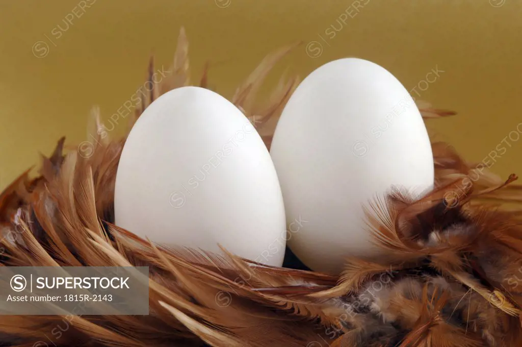 Eggs in feather nest, close-up