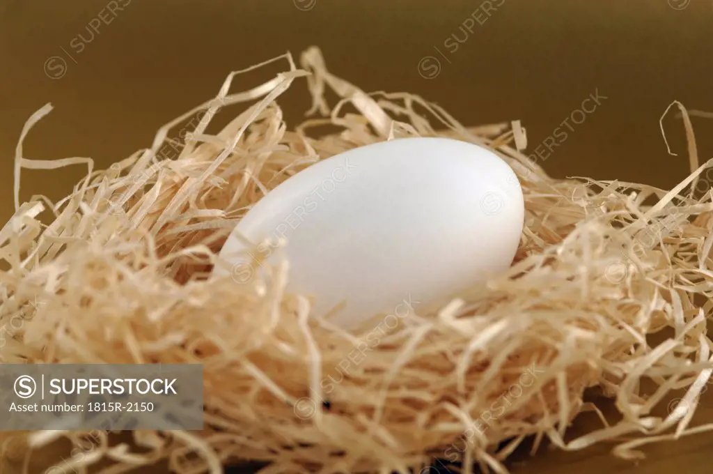 Egg in straw nest, close-up