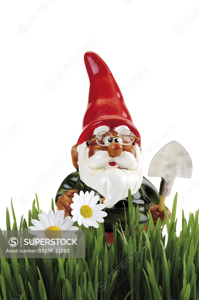 Garden gnome with spade, grass in foreground