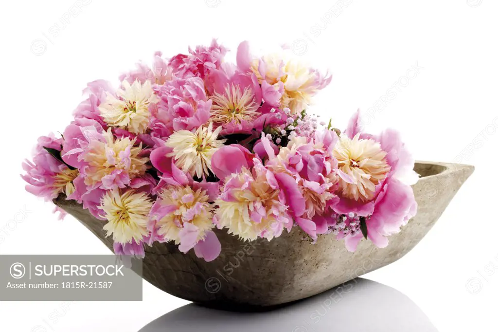 Bunch of peonies in bowl (Paeonia), close-up