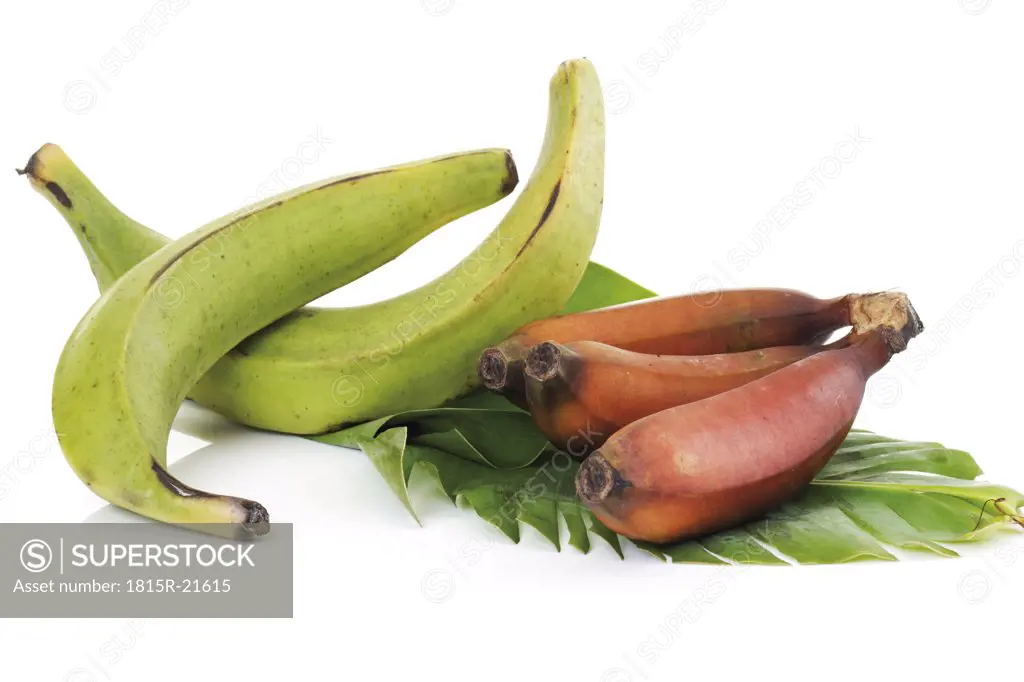 Two plantains and bunch of red bananas on leaf, close-up