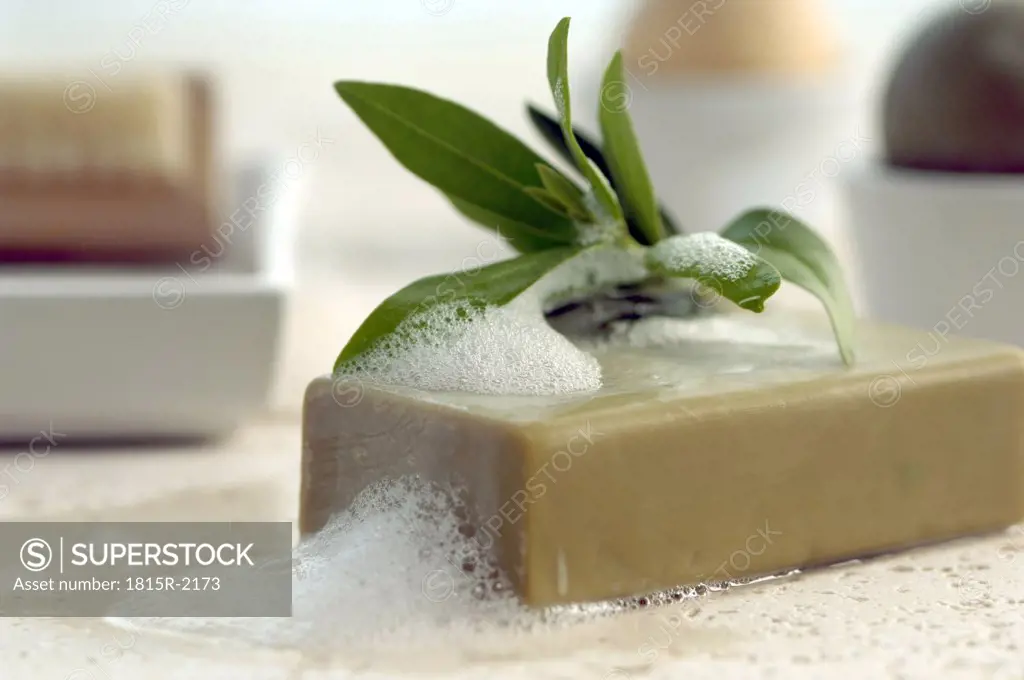 Bar of soap with herbal leaf