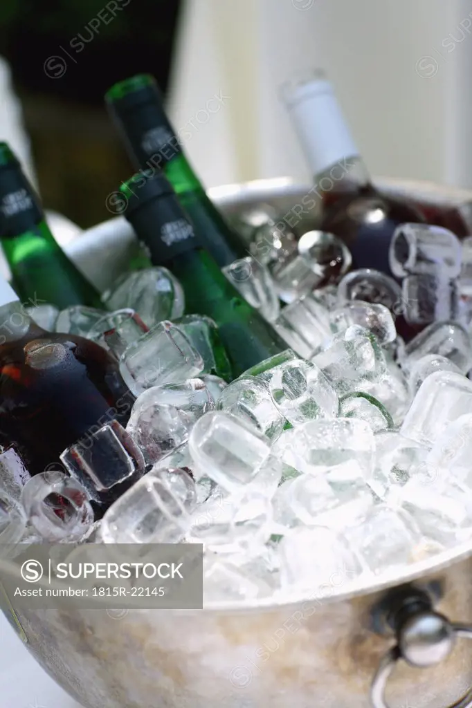 Vine bottles in ice bucket