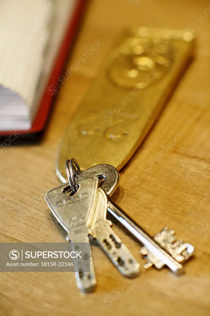 Room key, close-up