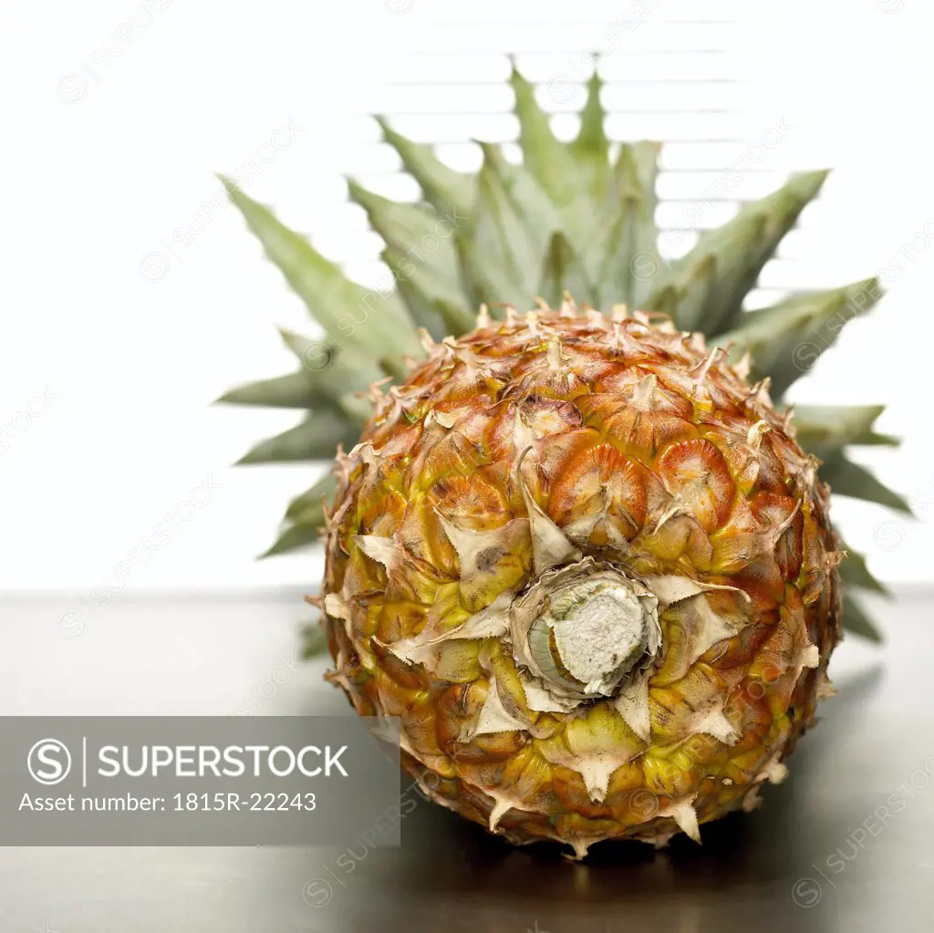 Pineapple, close-up