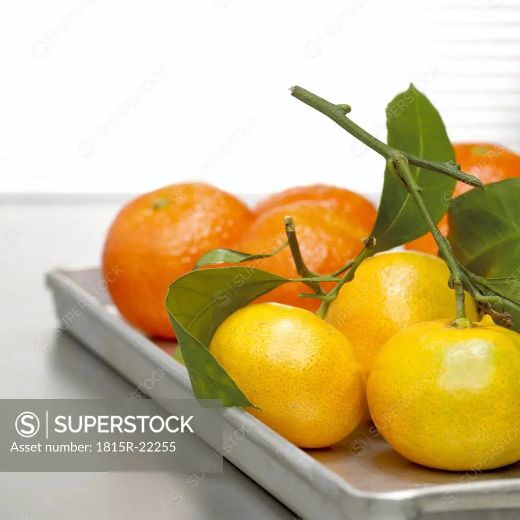 Tangerines on tray, close-up