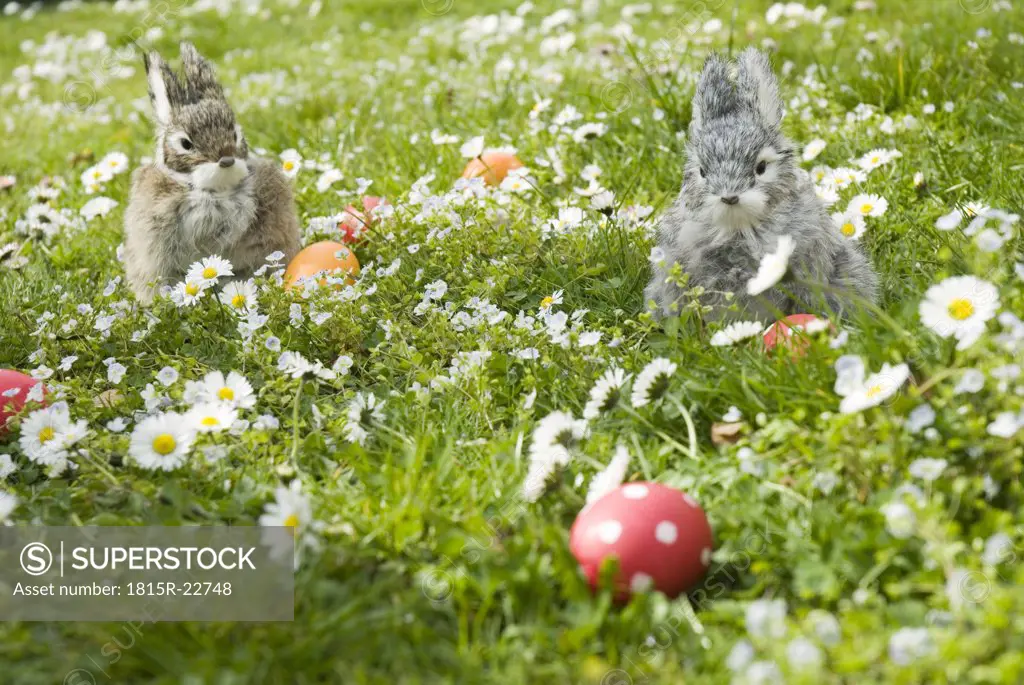 Easter bunnies and eggs in meadow