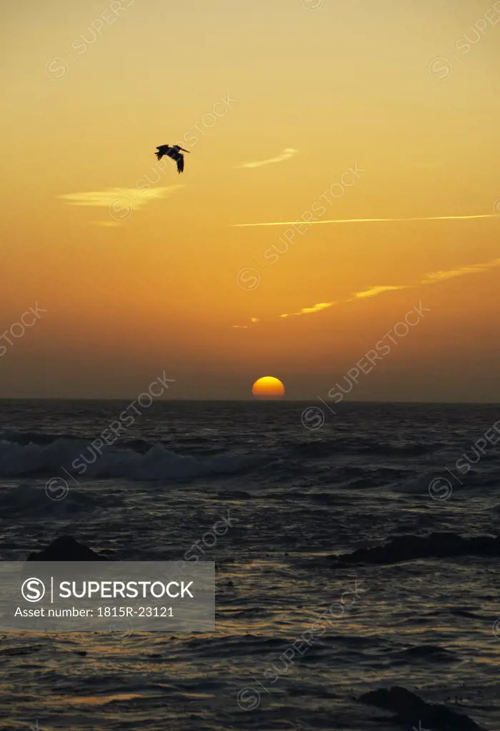 USA, California, San Francisco, sunset at sea