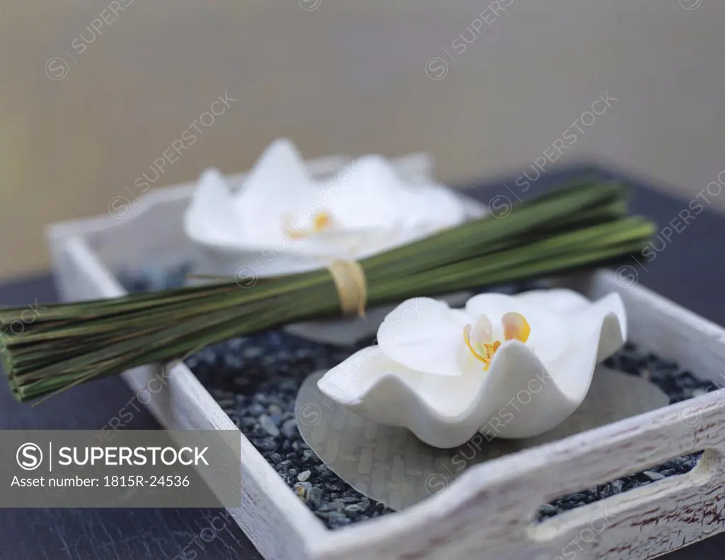 White orchids and bunch of grass in tray, close-up
