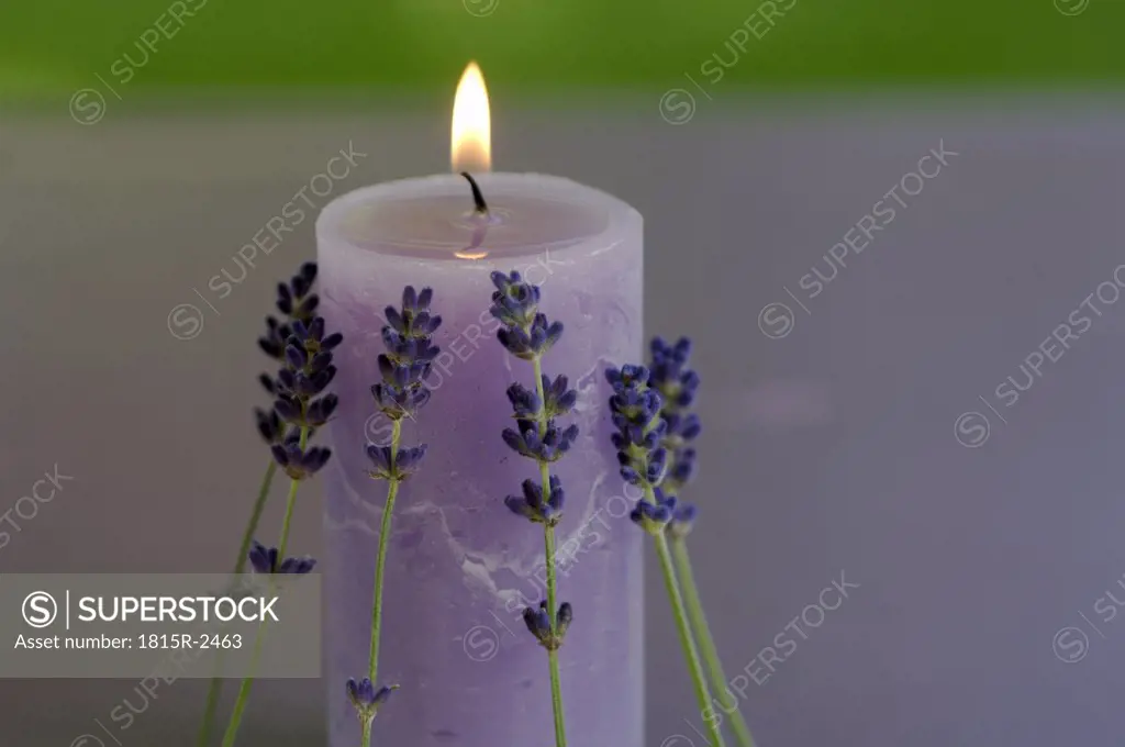 Burning lavender candle with flowers, close-up