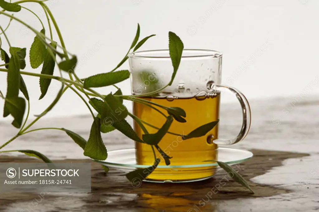 Herbal tea with Salvia