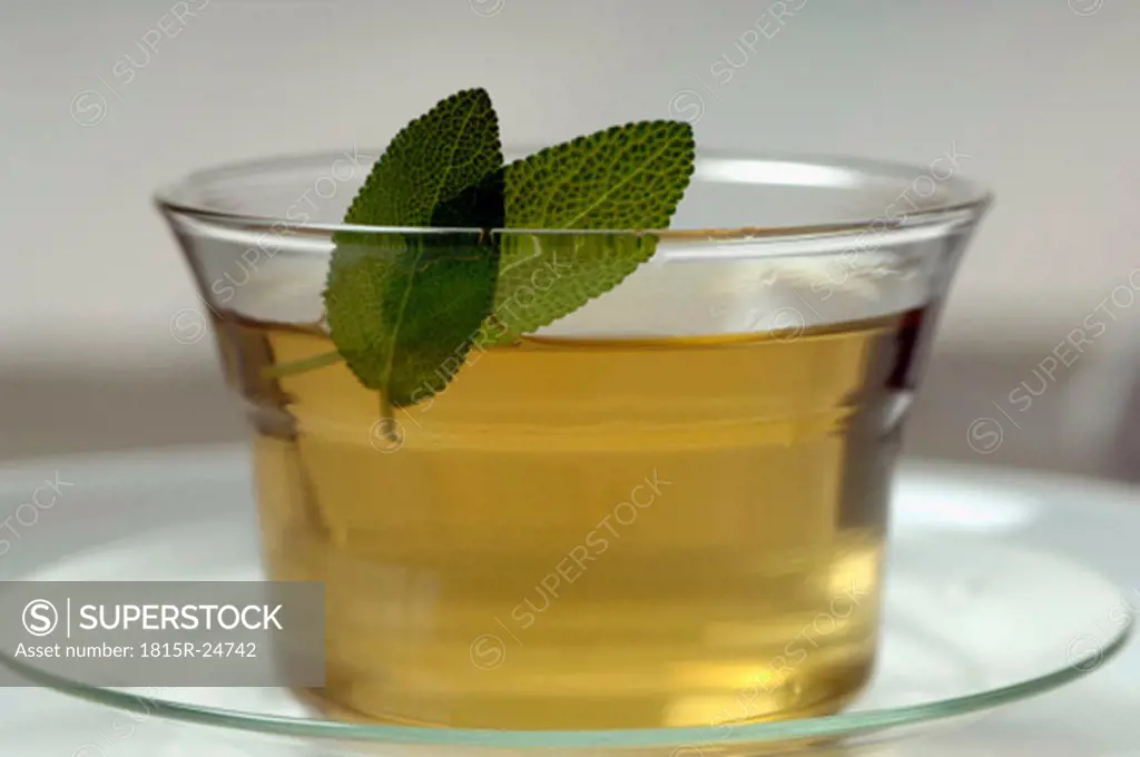 Herbal tea with Salvia