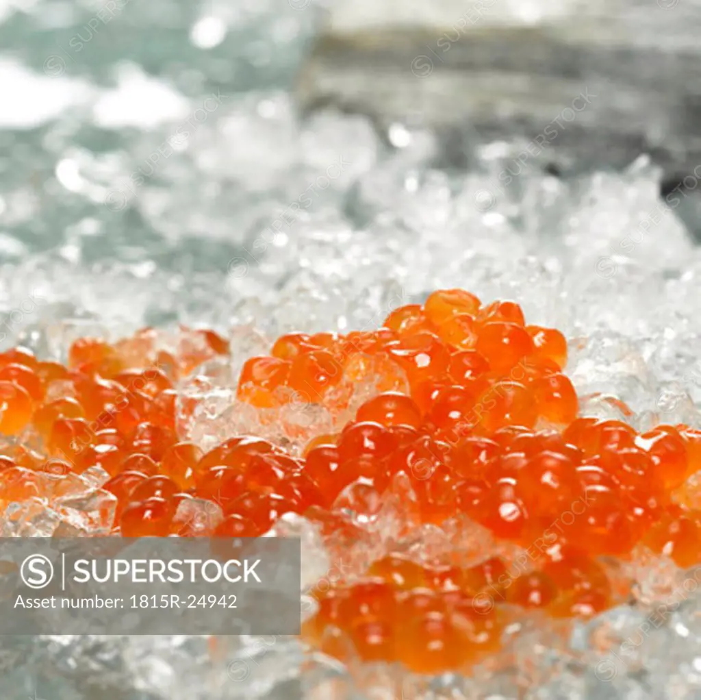 Salmon caviar on crushed ice, close-up