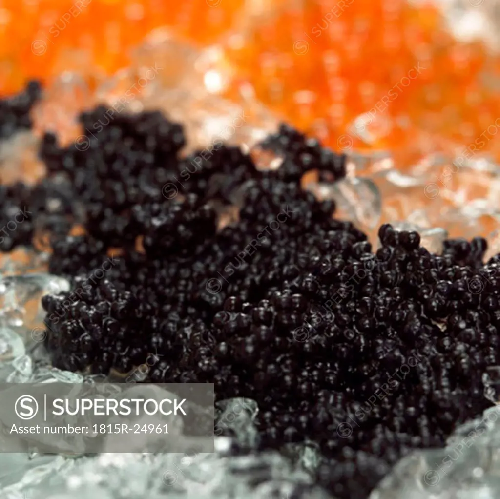 Red and black caviar on crushed ice, close-up