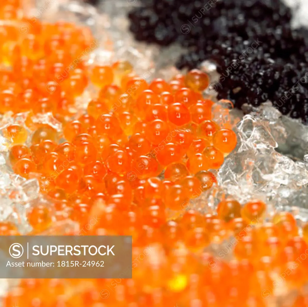 Red and black caviar on crushed ice, close-up