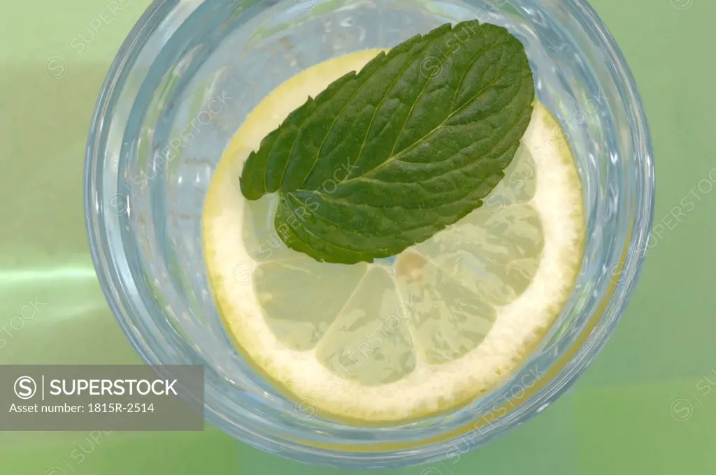Pfeppermint on slice of lemon in glass of water
