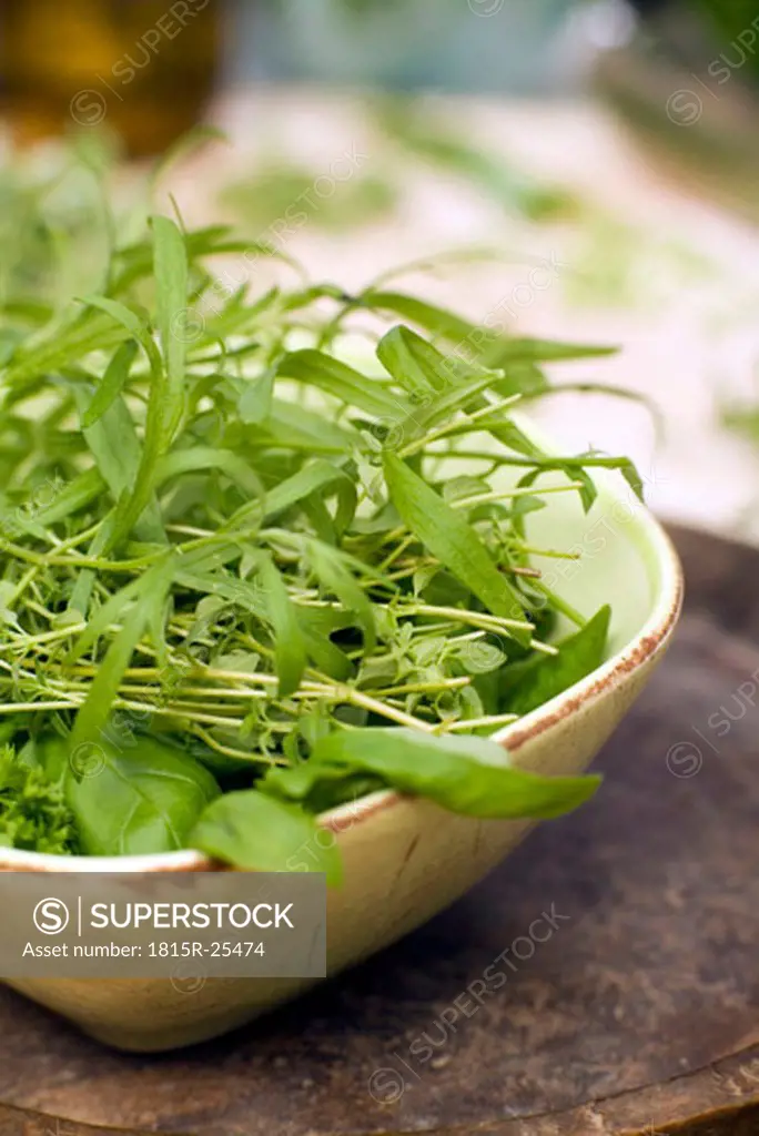 Herbs in bowl, close-up