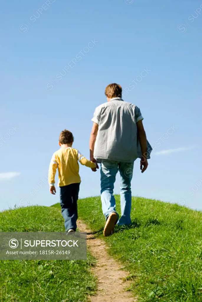 Father walking hand in hand with son, rear view