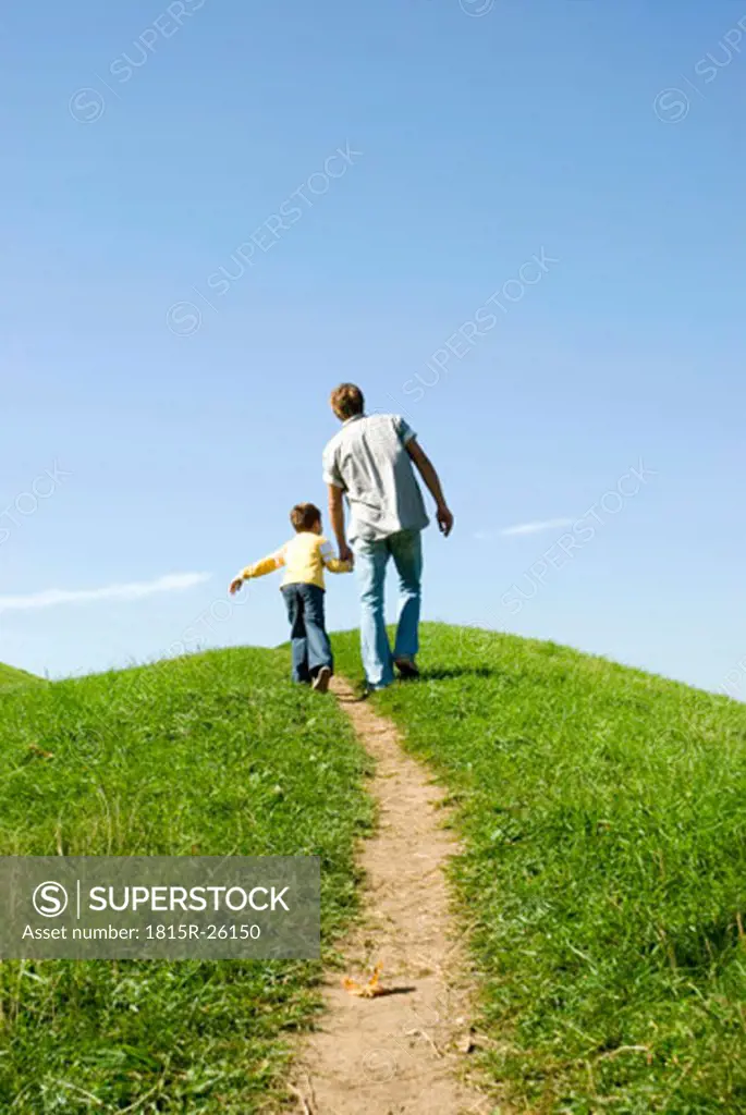 Father walking with son hand in hand, rear view