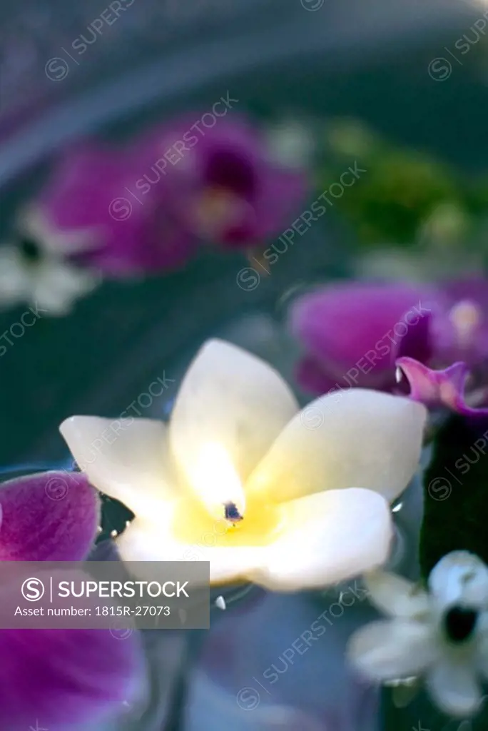 Burning candle and blossoms floating in bowl