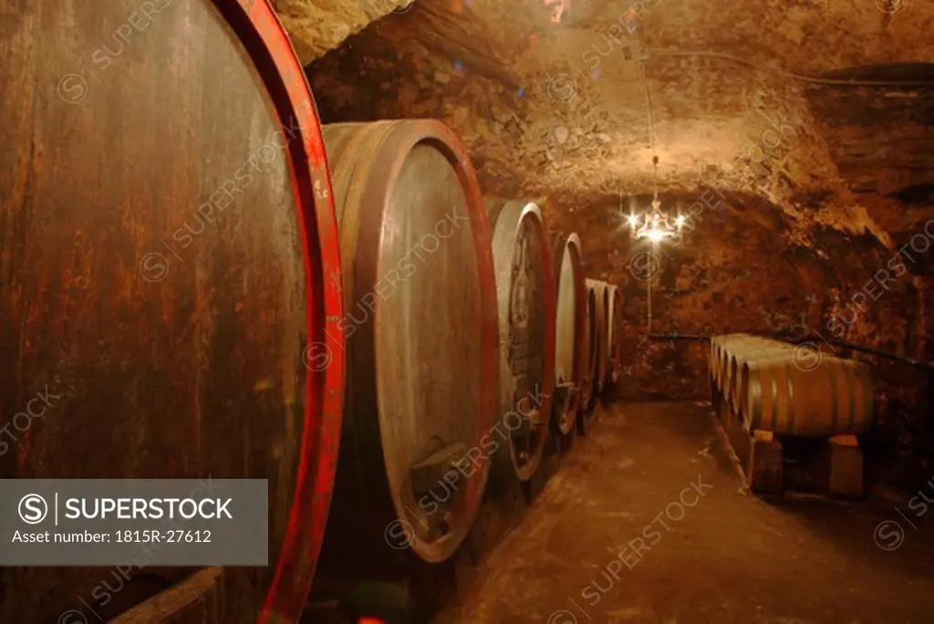 Wine casks in cellar